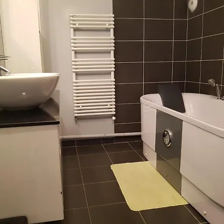 Duplex Cosy - 3 Avec Garage, Balcon Et Clim Lyon