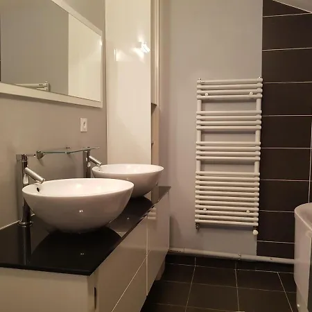 Duplex Cosy - 3 Avec Garage, Balcon Et Clim * Lyon