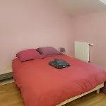 Duplex Cosy - 3 Avec Garage, Balcon Et Clim * Lyon