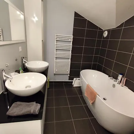Duplex Cosy - 3 Avec Garage, Balcon Et Clim Lyon